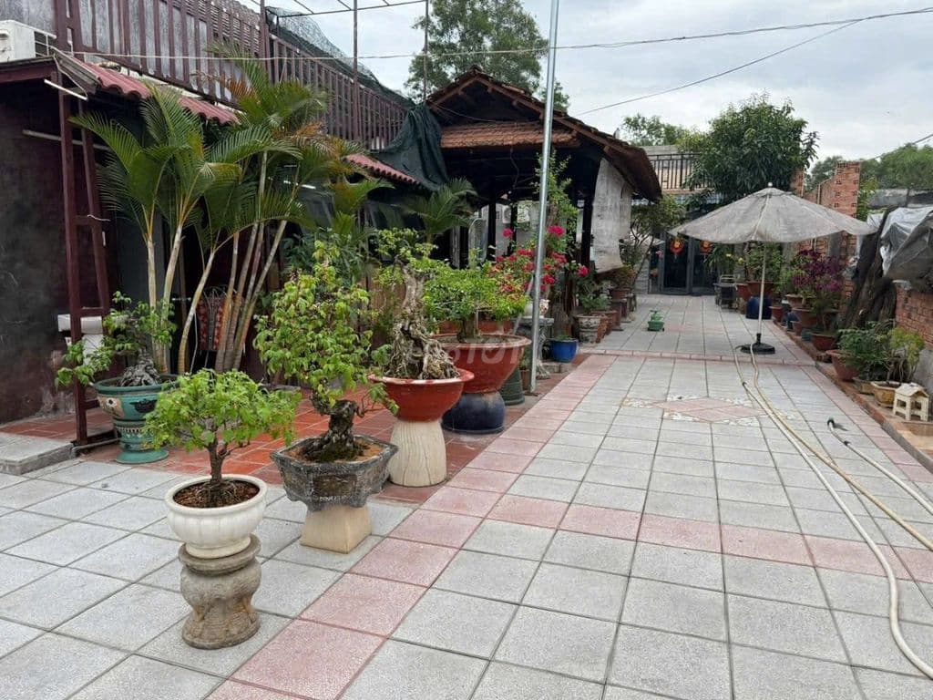 Bán đất mặt tiền đại lộ Bình Dương, Bến Cát