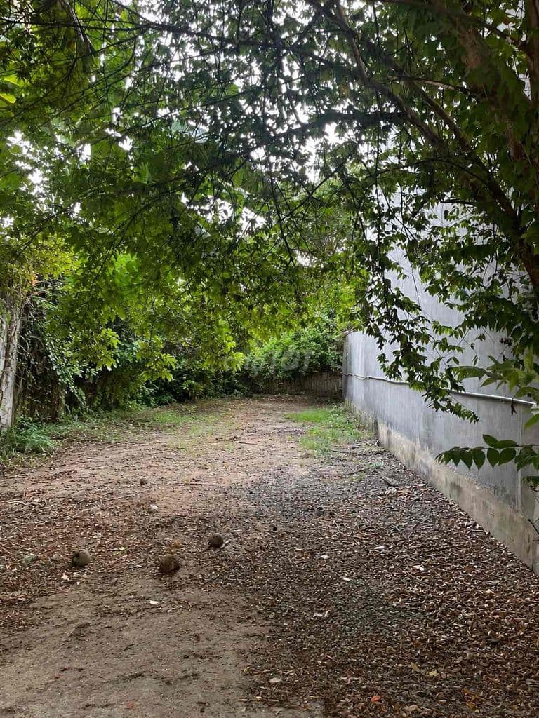 Đất cực đẹp, khu phân lô sát VVH - Đường 6m, xe hơi ra vào thoải mái