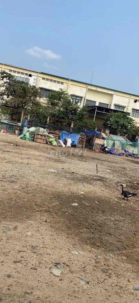 Đất vườn Phường Bình Chiểu ,cách mt Ngô chí Quốc 300m - Ảnh 3