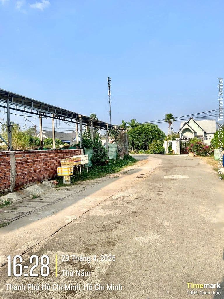 Bán lô đất 310m2 tại Thái Mỹ Củ Chi giá chỉ 2tỷ7 - Ảnh 2