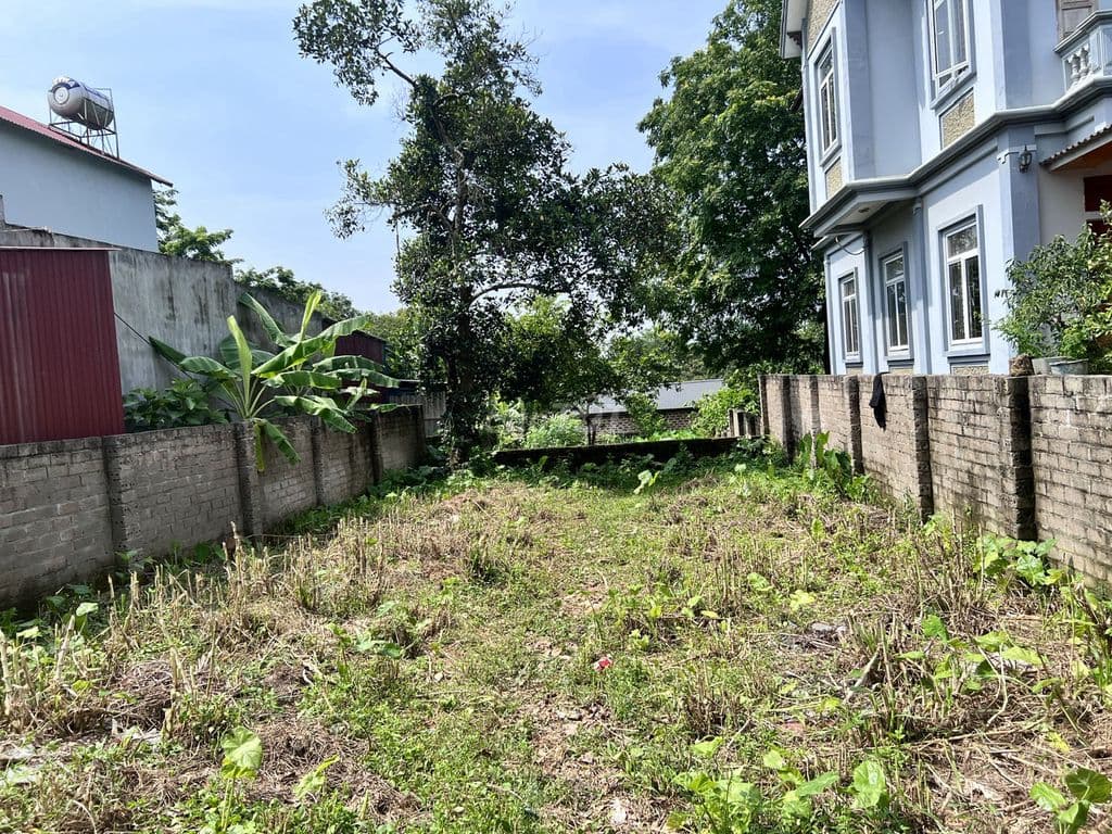 Em chính chủ đất cần bán đất tại Tây vị - Tùng Thiện - Sơn Tây. - Ảnh 2