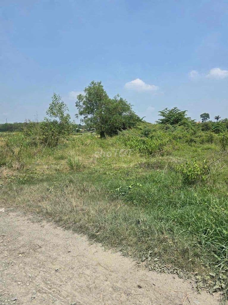 Bán 3200m2 thổ cư 300m2 sẵn giá 11 tỷ - Ảnh 3