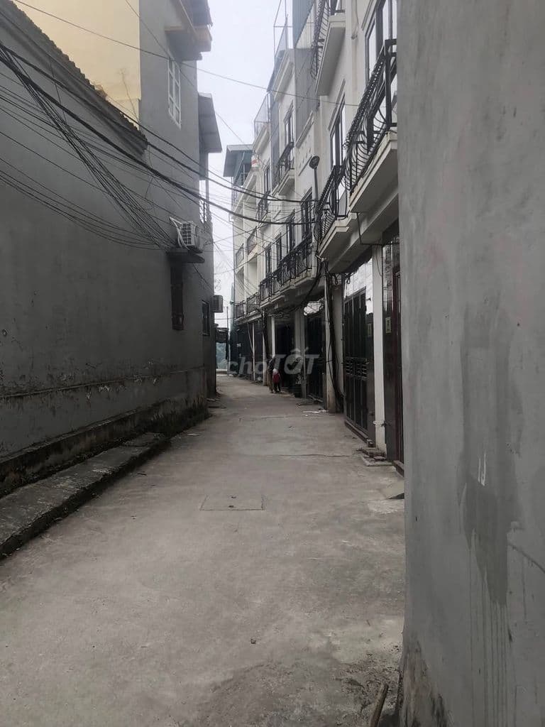 Chính chủ cần bán đất đường Lạc Hồng - Ảnh 3
