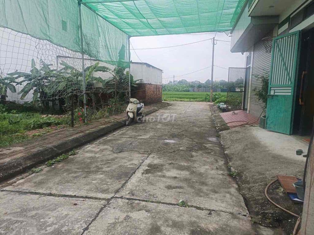 Mảnh đất Ngon- Bổ- Rẻ KĐG Phúc Tiến - Biên Giang 52,5m giá chỉ 3tỷ - Ảnh 2