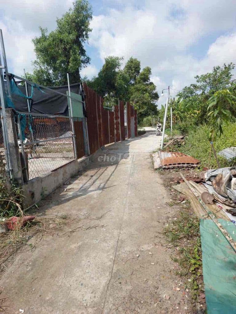 250tr có 44m2 đất vườn nền cao đg 3m. Bình Chánh - Ảnh 2