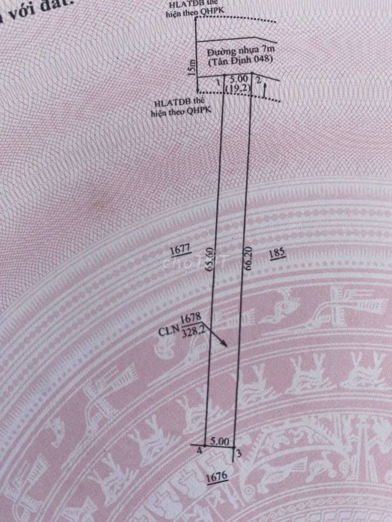 Bán đất Tân Định, đường nhựa 7m, 5x66, 1.49 tỷ - Ảnh 3