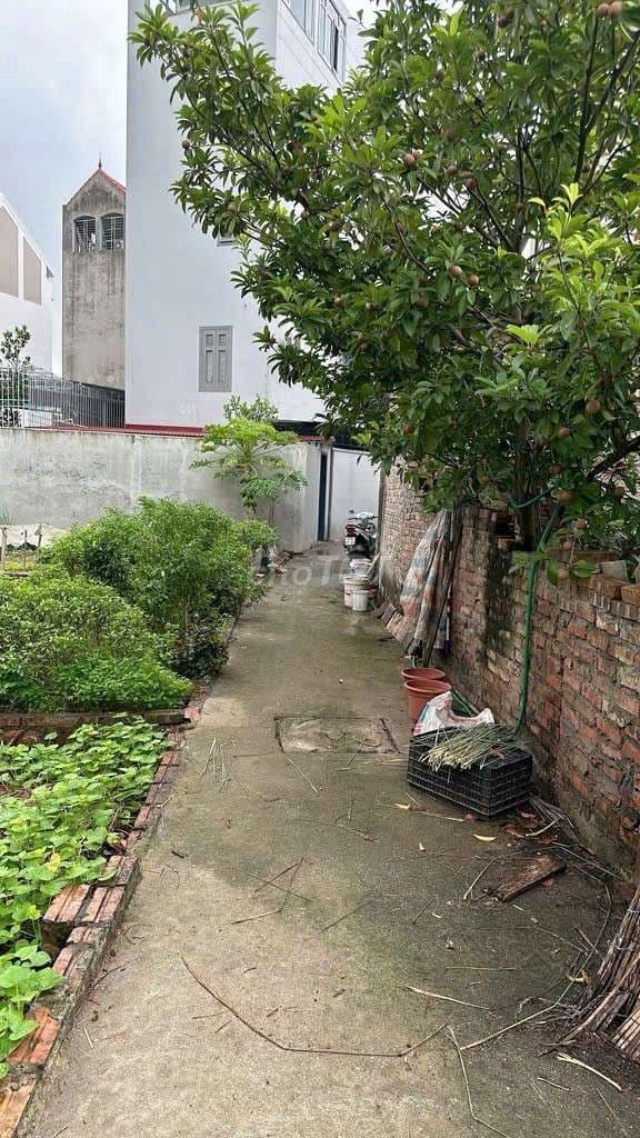 PHỐ KEO, KIM SƠN, GIA LÂM. 60M , mt4,5m , giá nhỉnh 3 tỷ - Ảnh 2