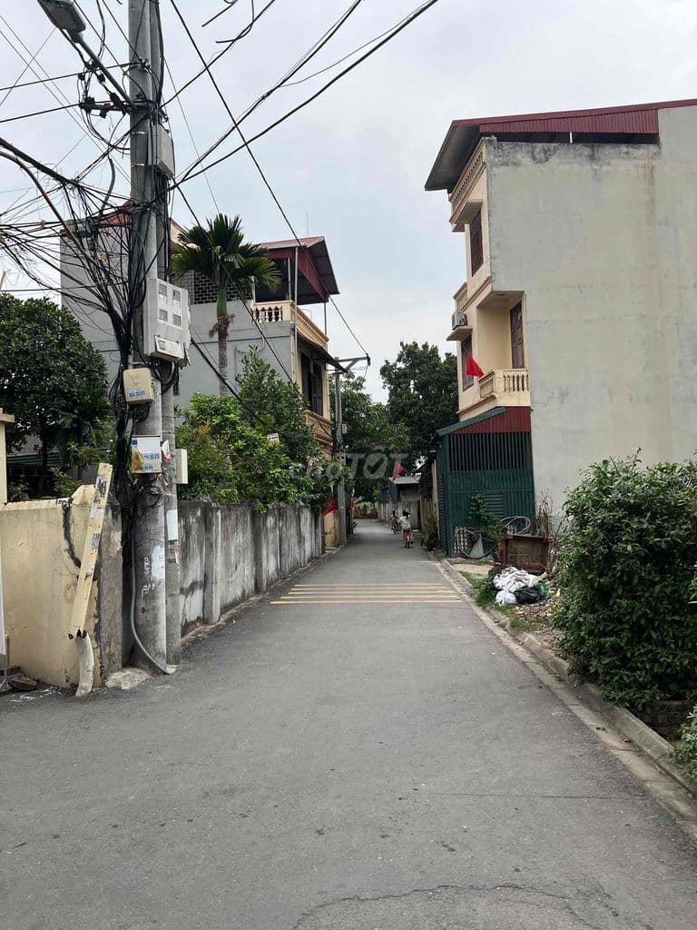 Bán đất Đa Tốn - Gia Lâm oto ngủ trong nhà giá chỉ hơn 3 tỷ xíu - Ảnh 3