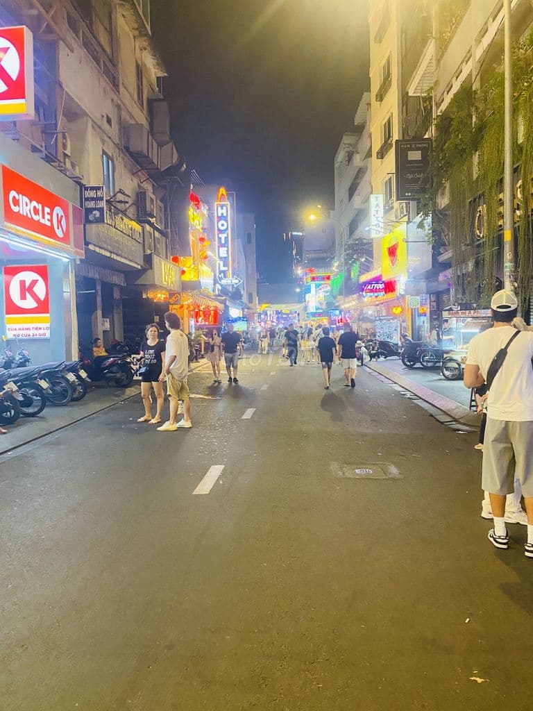 Chính chủ cần bán nhà ngay phố Tây Bùi Viện - Ảnh 3