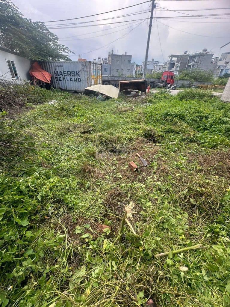 Đất nền KDC Tân Cảng Phú Hữu mặt tiền đường 119, gần Nguyễn Thị Tư - Ảnh 2