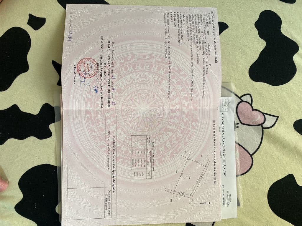 3 thửa đất trồng cây hàng năm - Ảnh 3