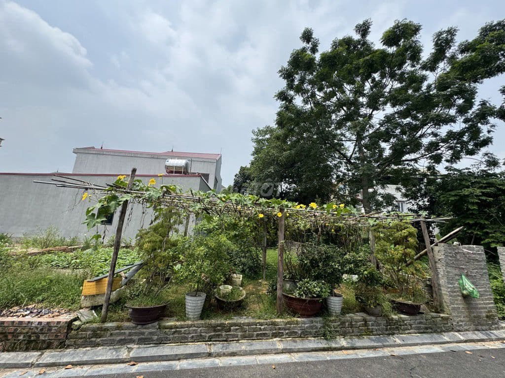 Ngon Đông Anh - 60m Nhỉnh 5đ, 100m Nhỉnh 6đ, 59m Nhỉnh 7đ -Đủ Tiện Ích - Ảnh 2