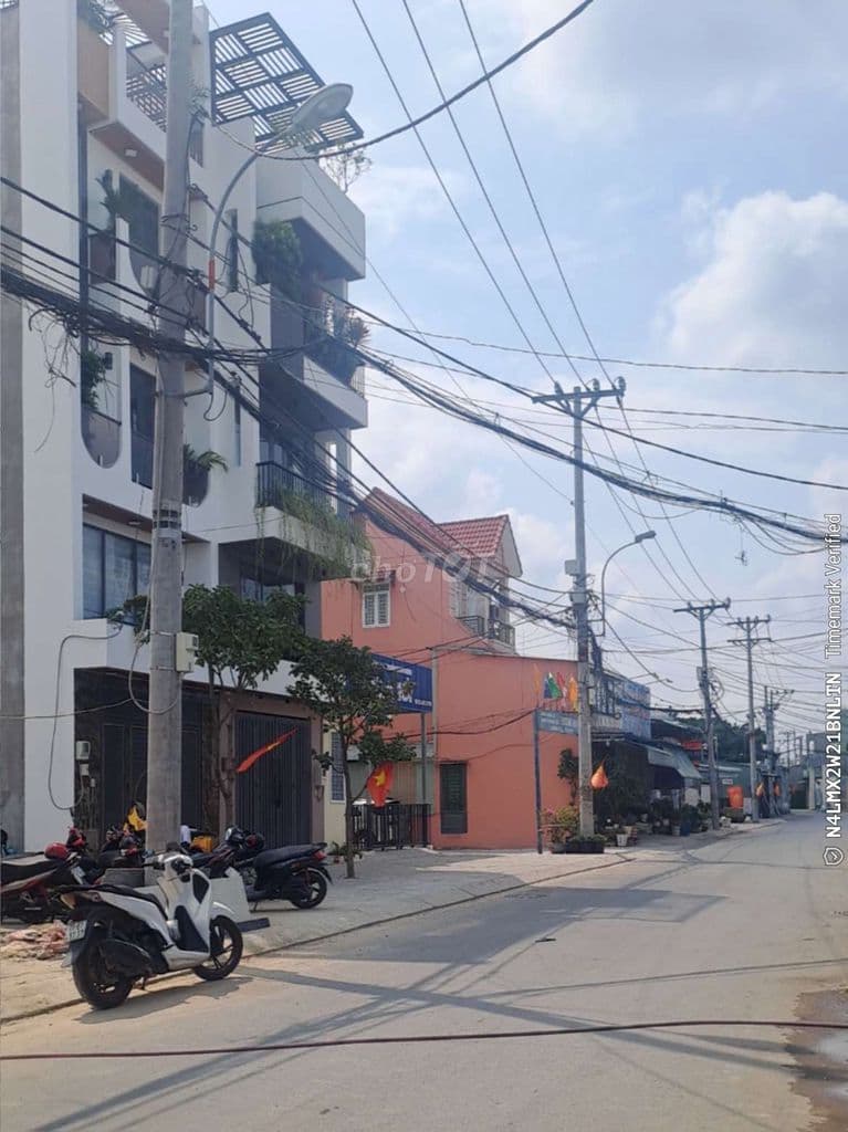 Bán Đất Lớn Biệt Thự 264m _ 12m x 22m Thạnh Lộc _ An Phú Đông - Ảnh 3