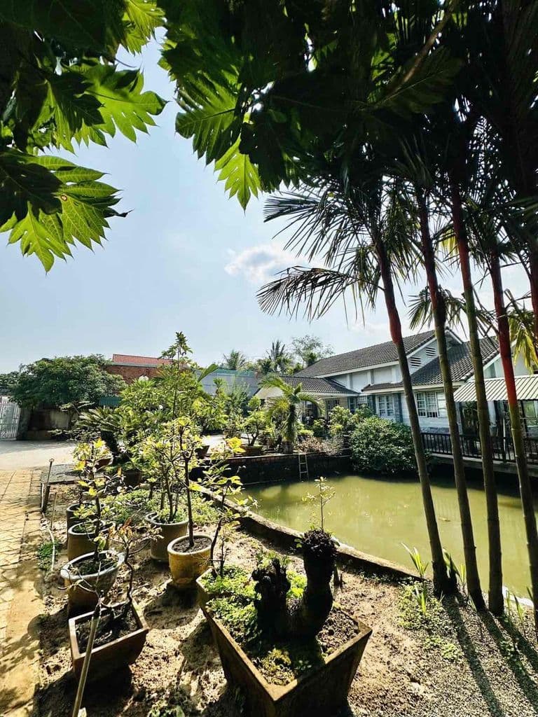 NHÀ VƯỜN GẦN HAI NGÀN M2 GIỮA SÀI GÒN HOA LỆ - Ảnh 3
