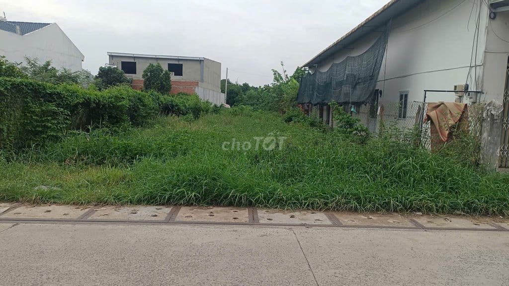 BÁN ĐẤT: XÃ TÂN PHÚ TRUNG GIÁ 640 TRIỆU , DT : 5 x 31 = 155 m² shr - Ảnh 3