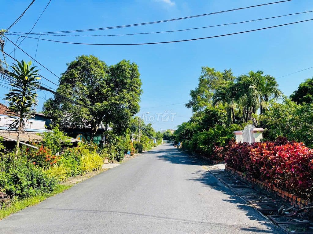 CHỦ NGÔP BÁN NHANH - MT NHỰA BÙI THỊ HE 232M2 THỔ CƯ - SỔ HỒNG RIÊNG - Ảnh 2