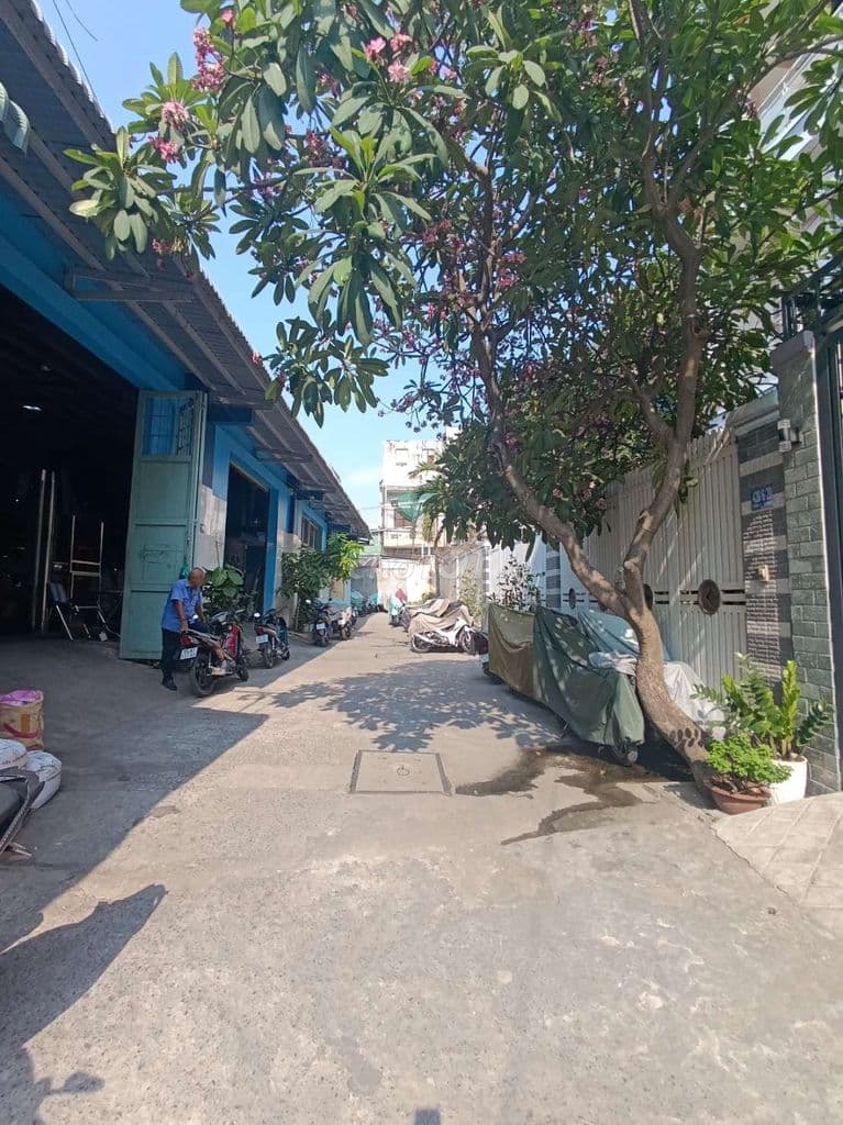 Đất giá rẻ đường Hoàng Ngân giáp Q6 hẻm xe hơi - Ảnh 3