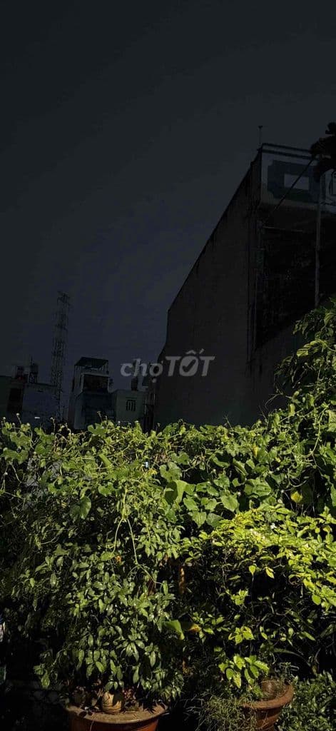 5 LÔ ĐẤT ĐẸP HẼM THÔNG 8M P TÂN CHÁNH HIỆP Q12 SỔ SẴN XÂY DỰNG NGAY - Ảnh 2
