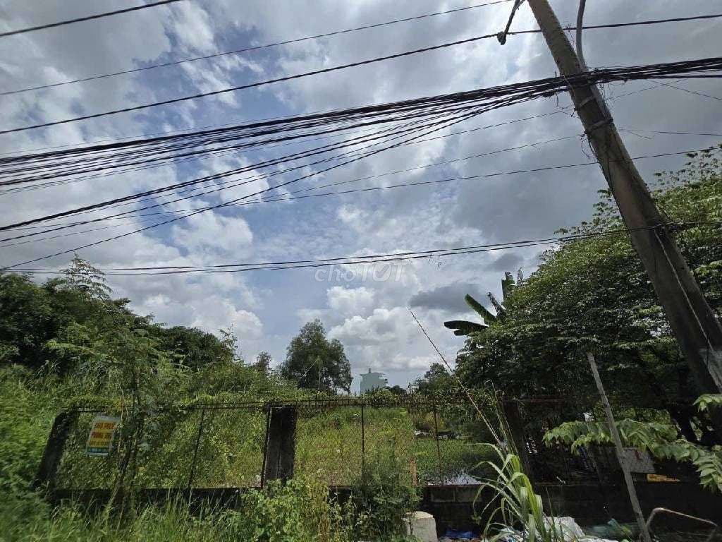 ĐẤT MẶT TIỀN BƯNG ÔNG THOÀN - SÁT LIÊN PHƯỜNG - 132M2 - GIÁ SIÊU TỐT - Ảnh 2