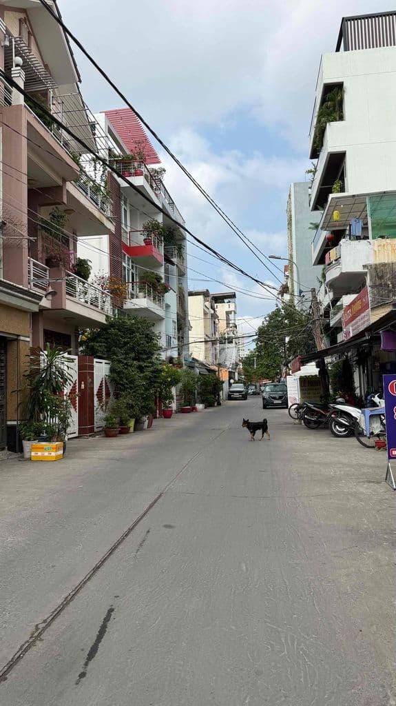 Hẻm Xe Hơi 1015 Huỳnh Tấn Phát 65m2 4,8ty giá đầu tư - Ảnh 2