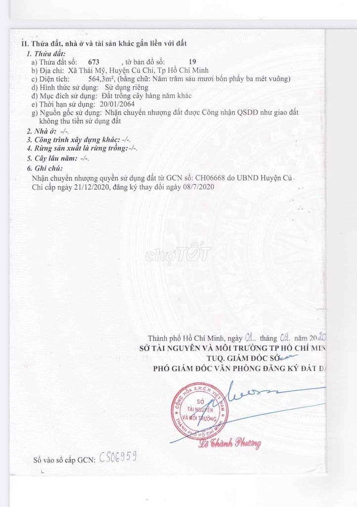 Đất vườn 564 Xã Thái Mỹ, Củ Chi - Ảnh 2