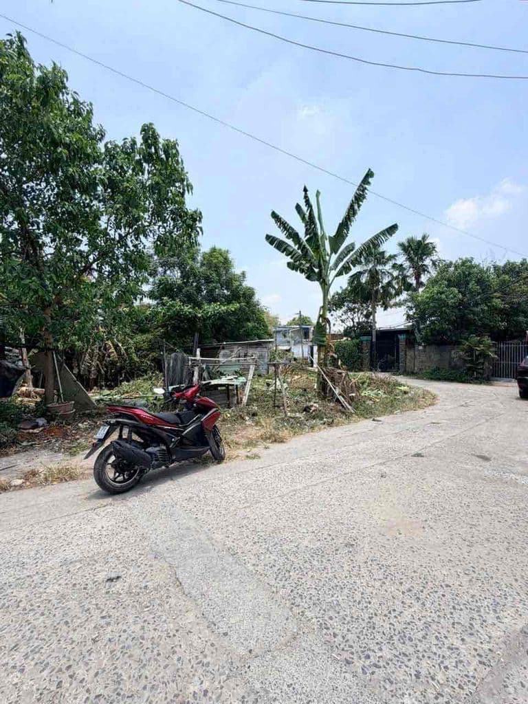 ĐẤT DIỆN TÍCH 5M x 18M 1/ TRỊNH THỊ DỐI HẺM 6M . - Ảnh 3