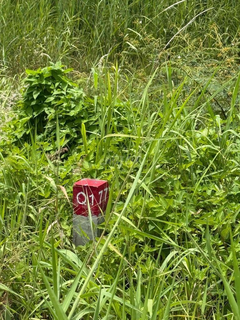 Bán đất nền 5*21, đường 13m Khu đô thị Vạn Phúc - Ảnh 2