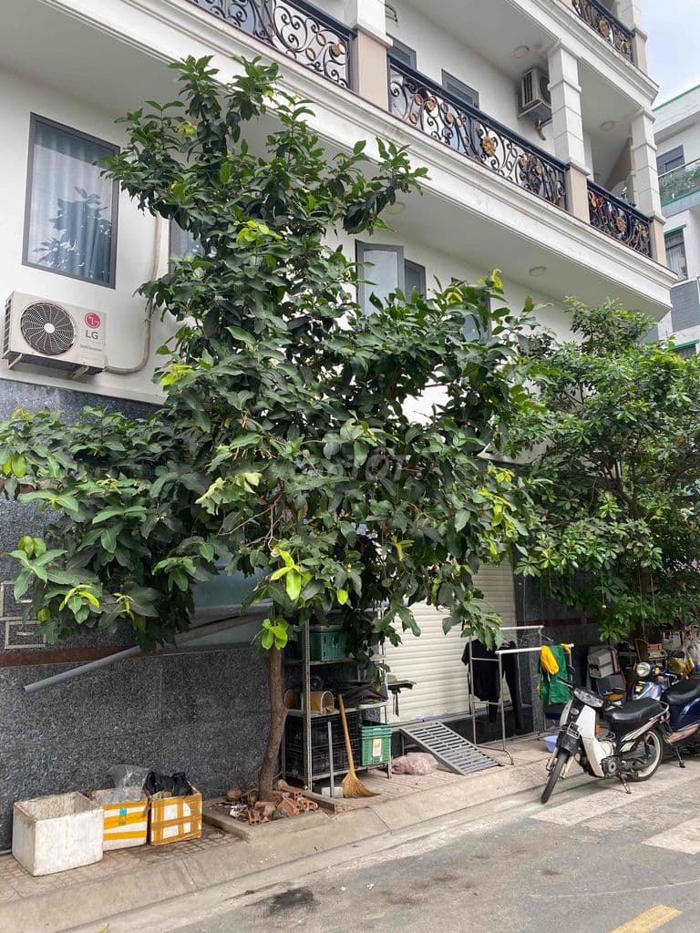 cần bán đất quận bình tân - Ảnh 3