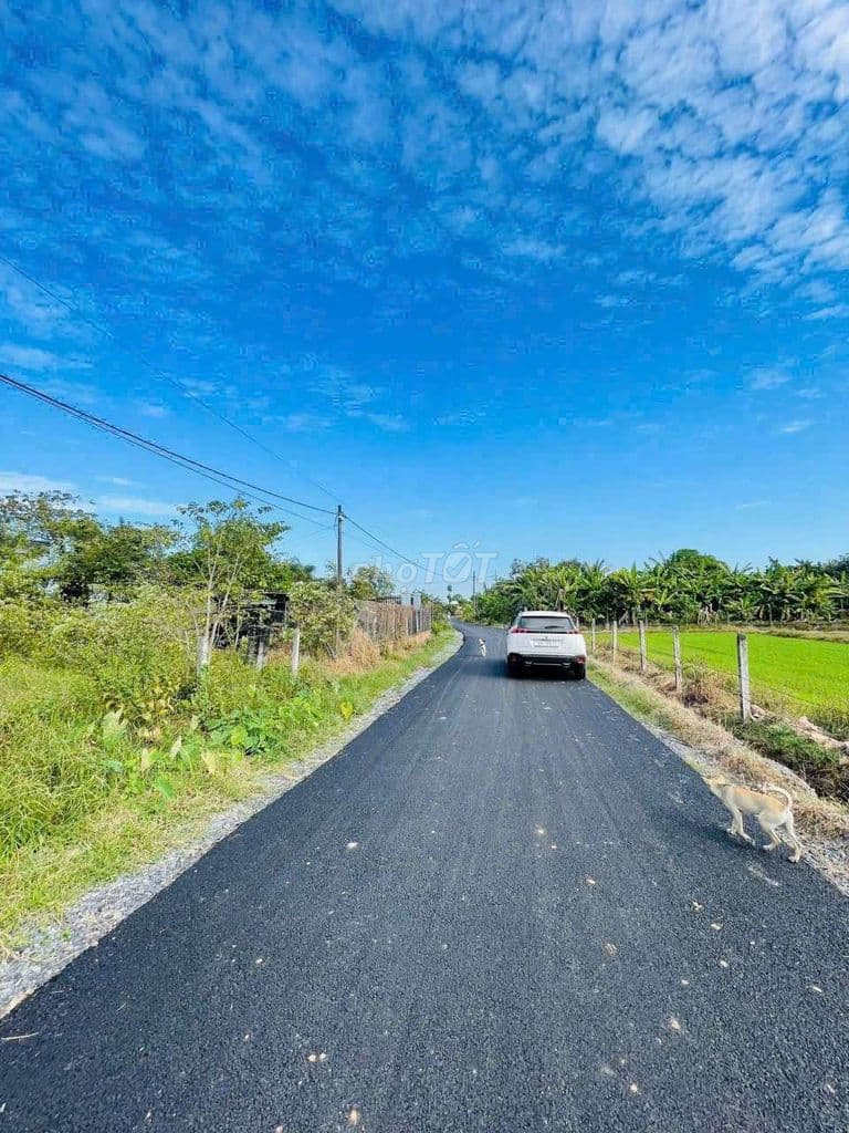 CHỦ BÁN ĐẤT TRUNG LẬP HẠ-SHR-THỔ CƯ FULL 161M² GIÁ 800TR CÒN BỚT - Ảnh 3