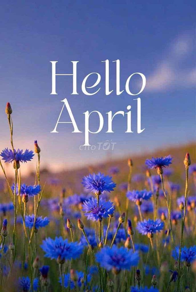 NHÀ - 3.5Tấm - thông 413 LÊ VĂN QUỚI - 5.2TỶ - Ảnh 3