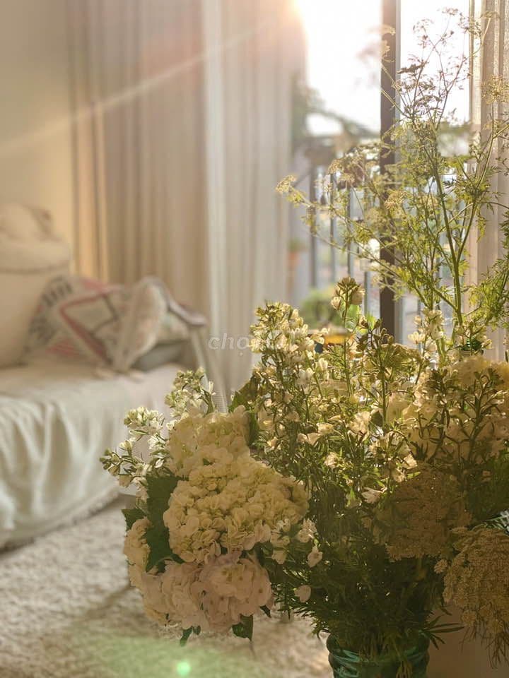 CẬP NHẬT RỔ HÀNG GIÁ TỐT T04/2026 CĂN HỘ HIM LAM PHÚ AN 69M2, 2PN,2WC. - Ảnh 3