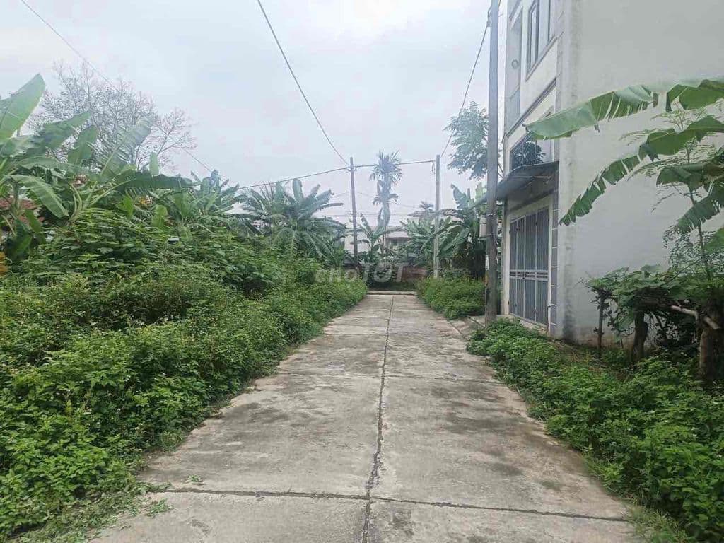 Mảnh đất Ngon- Bổ- Rẻ KĐG Phúc Tiến - Biên Giang 52,5m giá chỉ 3tỷ - Ảnh 3