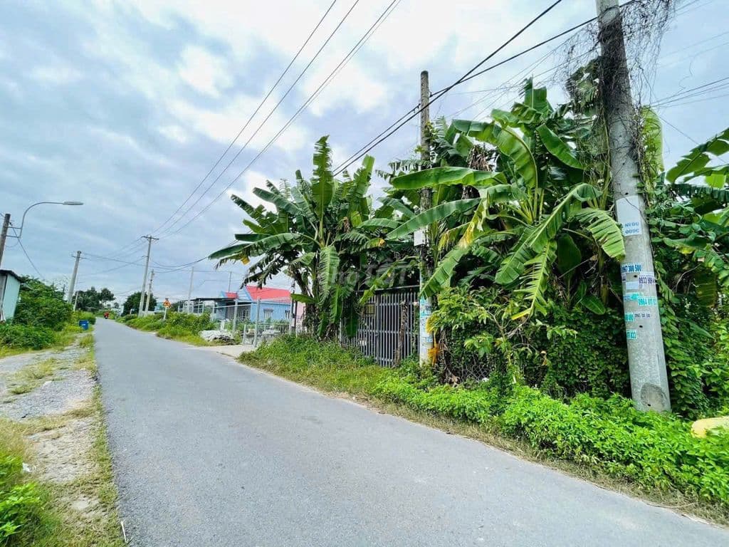 NGỘP NGÂN HÀNG CẦN BÁN NHANH LÔ ĐẤT MT TRẦN QUANG ĐẠO - SỔ HỒNG RIÊNG - Ảnh 2