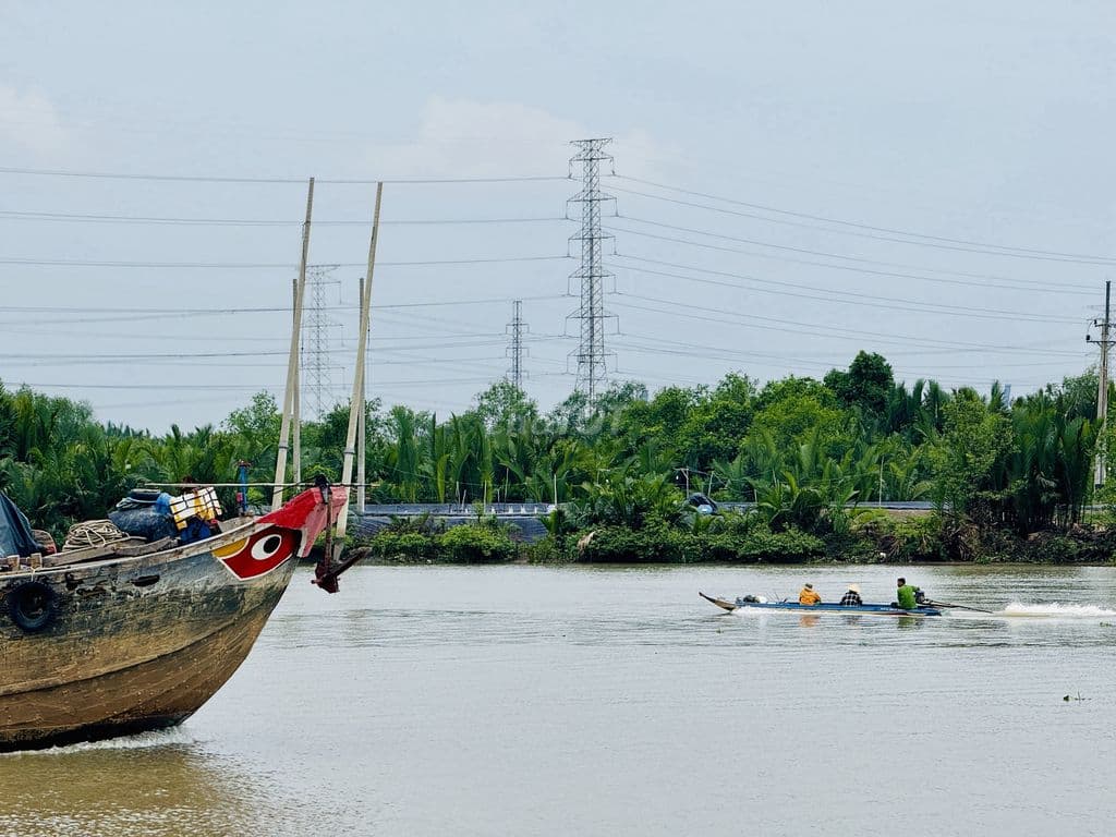 Bán đất cù Lao Mương Chuối - Bình Khánh - HCM - Ảnh 2