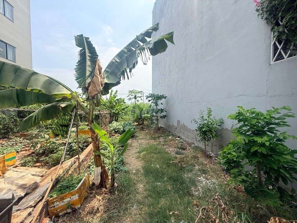 bán đất vị trí đẹp pháp lý rõ ràng an ninh đông đúc gần chợ trường - Ảnh 3