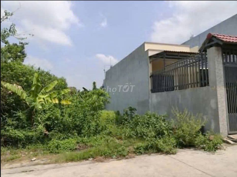 THANH LÝ GẤP LÔ ĐẤT NGAY TAM BÌNH THỦ ĐỨC- DT120M2 SHR CÁCH QL1A 500M - Ảnh 2