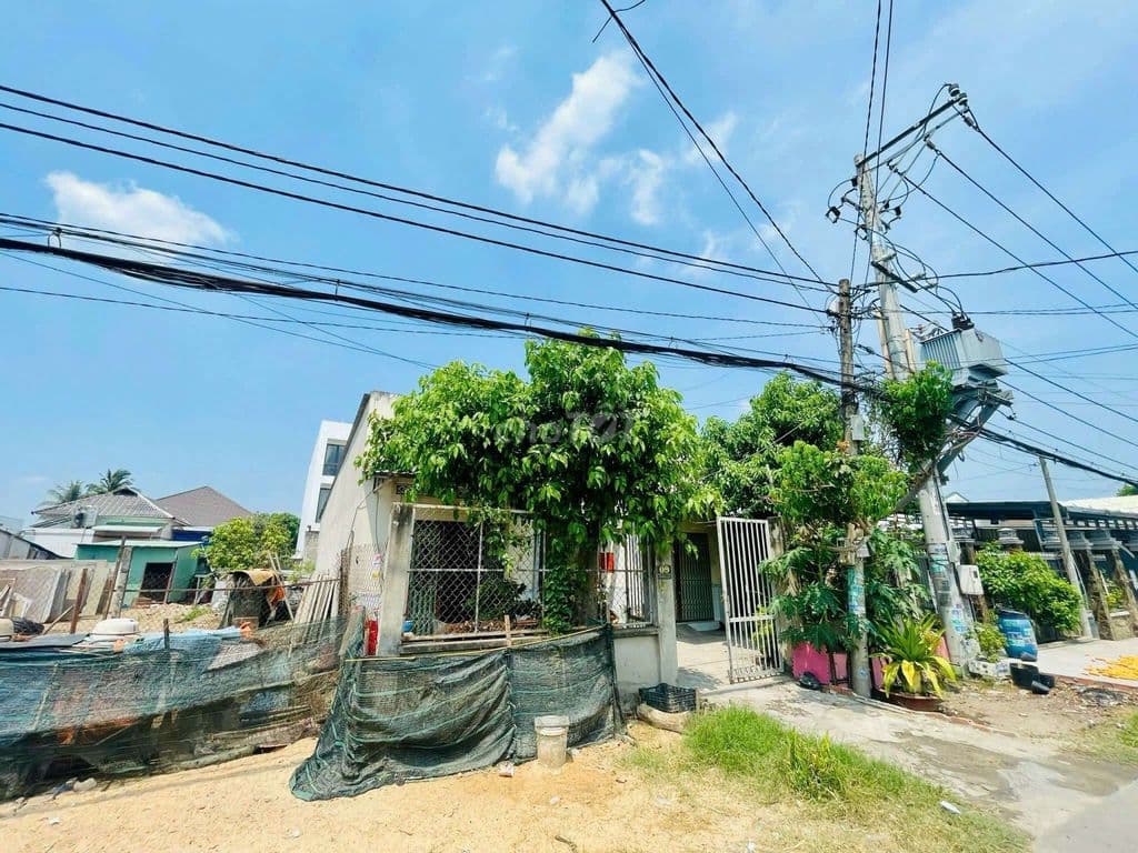 💥BÁN DÃY TRỌ 12 PHÒNG,TÂN THÔNG HỘI,CỦ CHI,HƠN 300M²,CHỈ 1TỶ150 - Ảnh 2