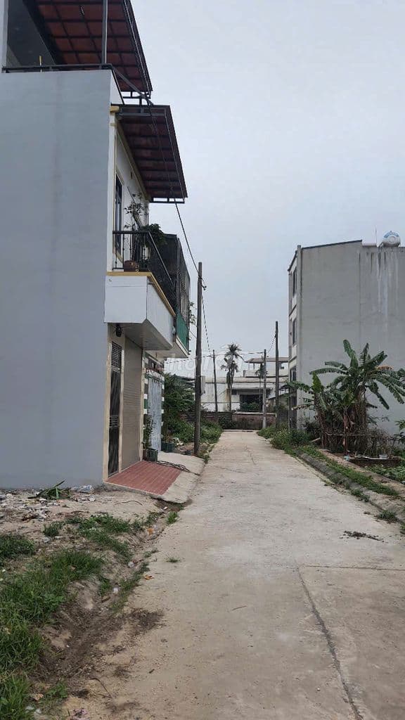 Bán đất đấu giá Phúc Tiến - Biên Giang - Hà Đông