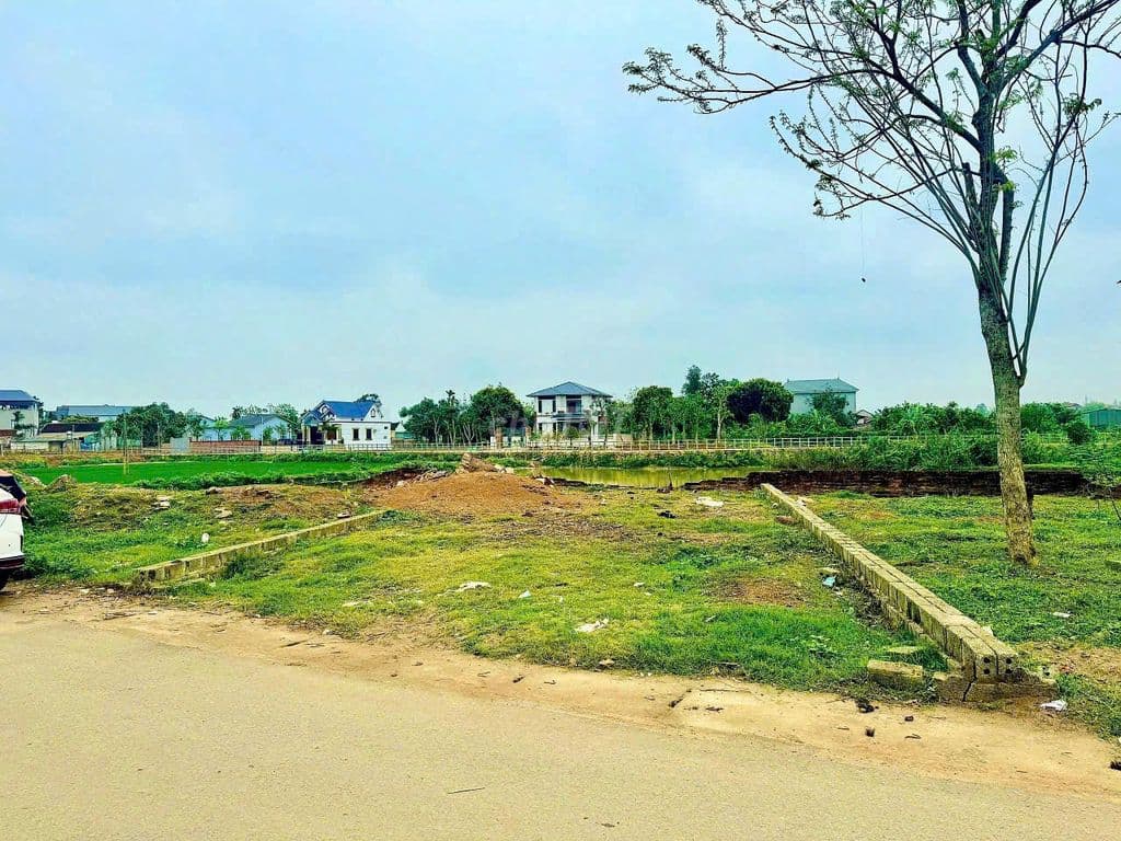 BÁN ĐẤT TRỤC CHÍNH PHÚ CÁT – VIEW HỒ CỰC HIẾM,GẦN CNC2 HÒA LẠC - Ảnh 3