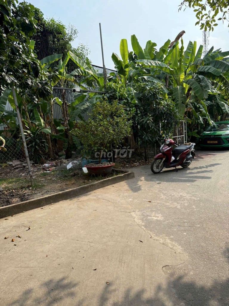 1013m2 Full Thổ ngay Vành Đai 3- Long Trường.Q9 - Ảnh 3