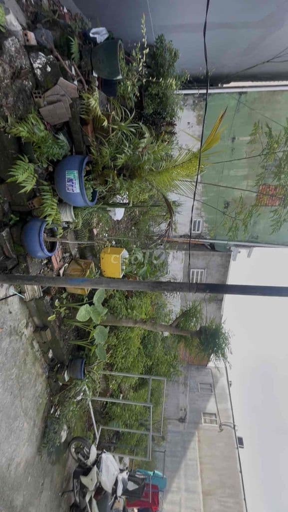 CẦN BÁN ĐẤT CHÍNH CHỦ - Ảnh 2
