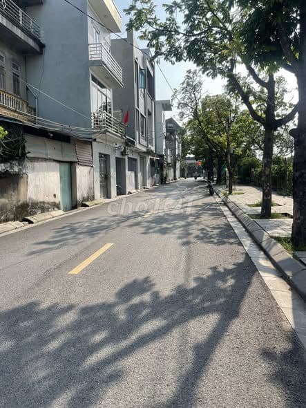 Đất Cổ Loa Đông Anh 100m2 lô góc giá tốt - Ảnh 3