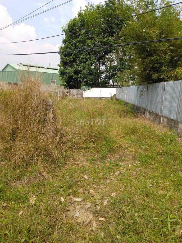 Đất mặt tiền Trần Thị Tuồng Phú Hoà Đông củ chi