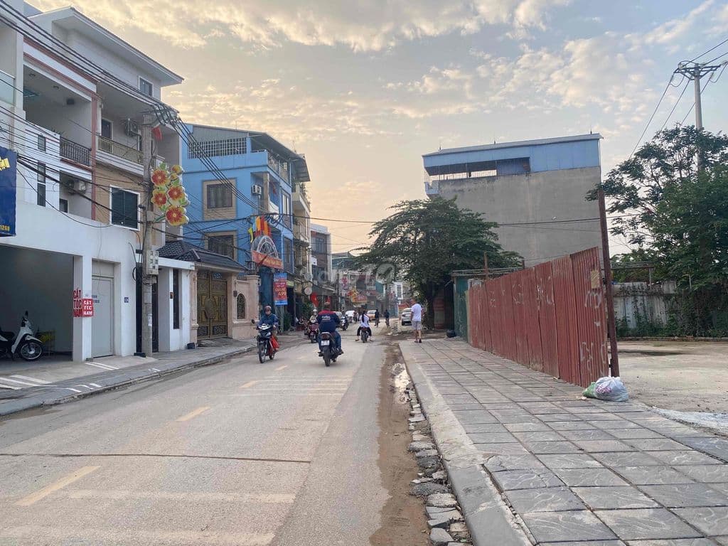 Xuân Canh Đông Anh - Vin Cổ Loa - Vin Tàm Xá