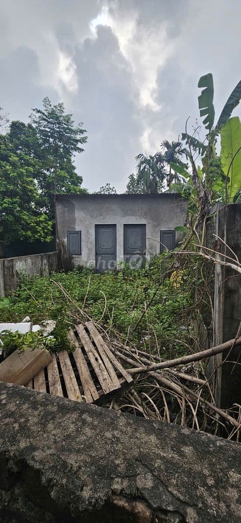 🎉🎉 Hiếm! Bán 80m2 Nhà C4 Viên Nội, Vân Nội – 5 Phút qua Cầu Nhật Tân