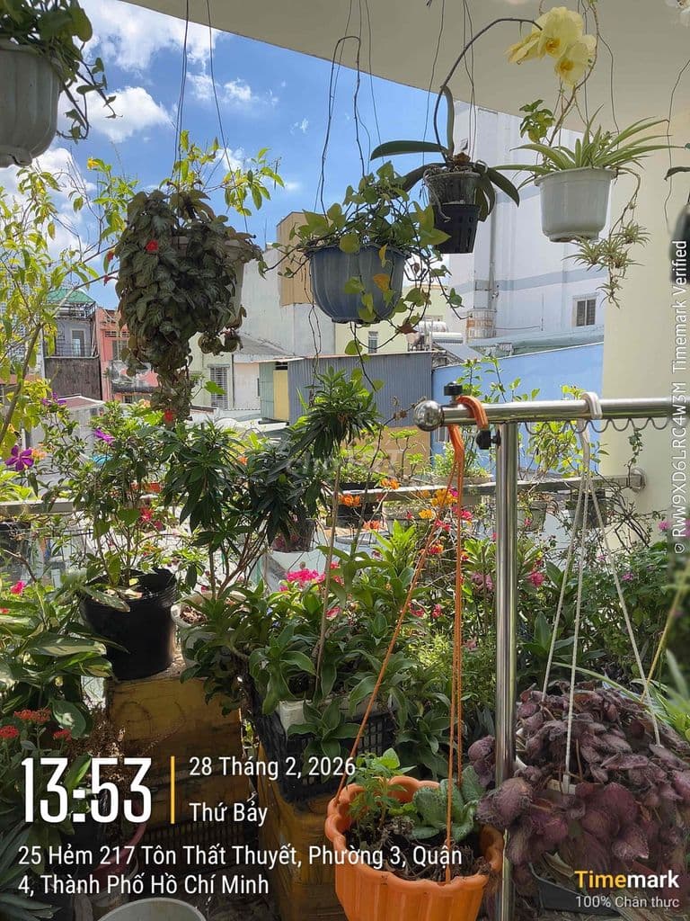 Chính chủ Bán nhà 4x18m 3 tầng 217/5 Tôn Thất Thuyết P3 Q4 - Ảnh 3