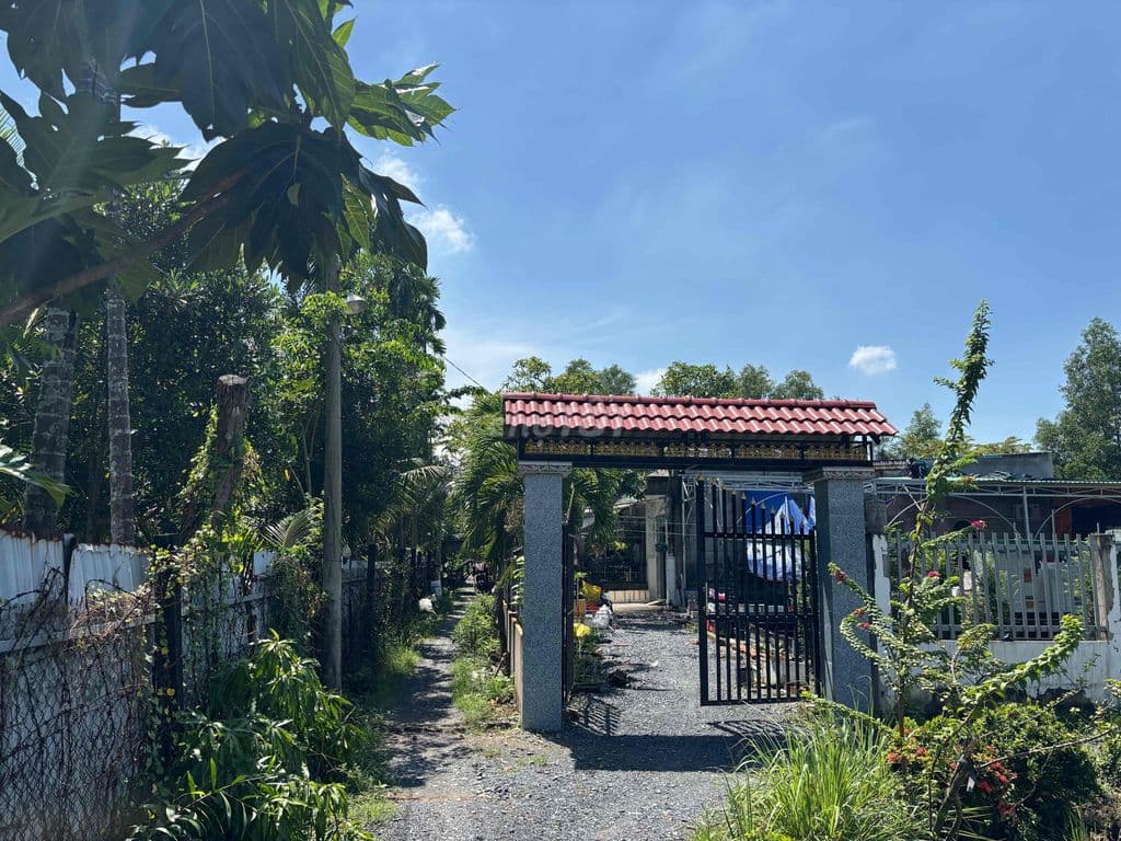 Bán Nhà vườn có dòng tiền 18tr/tháng - Ảnh 2