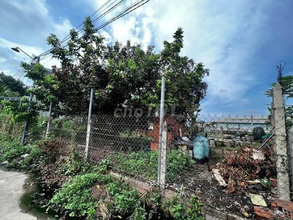 bán lô đất F0 Dinh Hoa 6,1x14,5m giá 1690 triệu - Ảnh 3