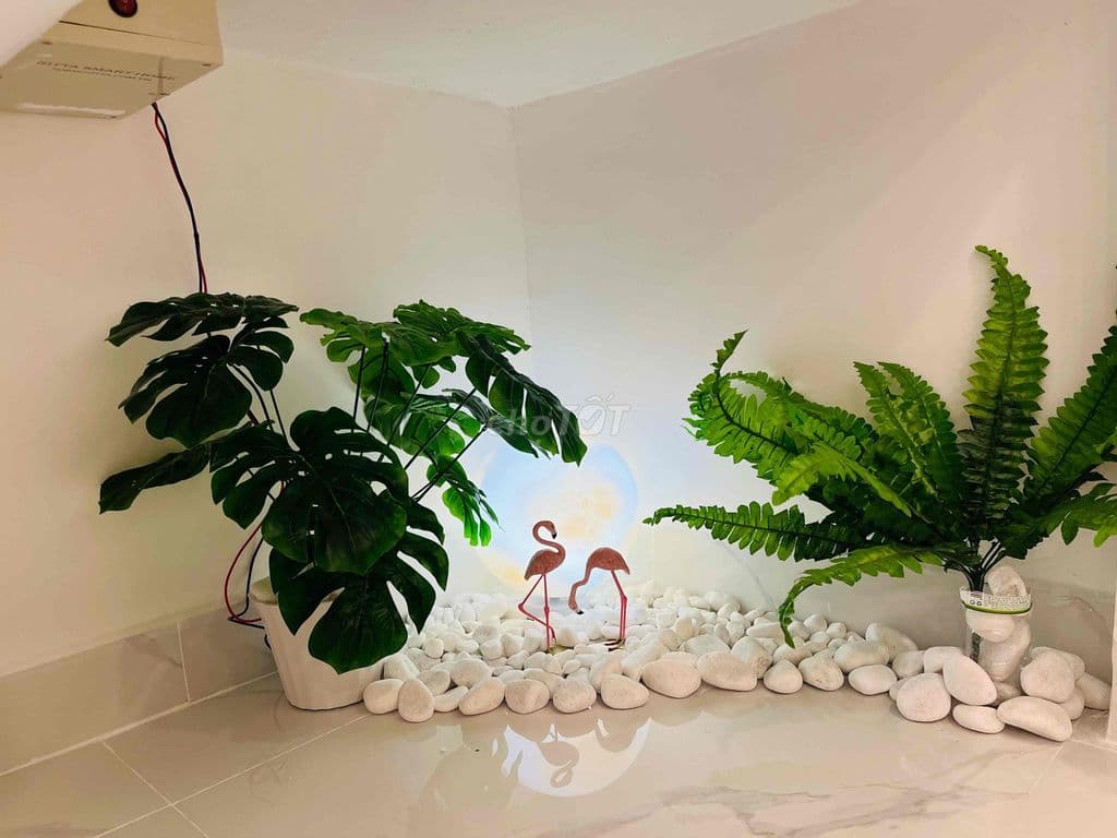 nhà đẹp chính chủ - Ảnh 2