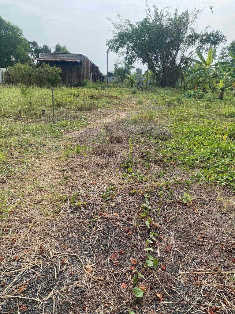 Bán đất dân cư 1644m2 xã Bình Chánh giá 12ti - Ảnh 2